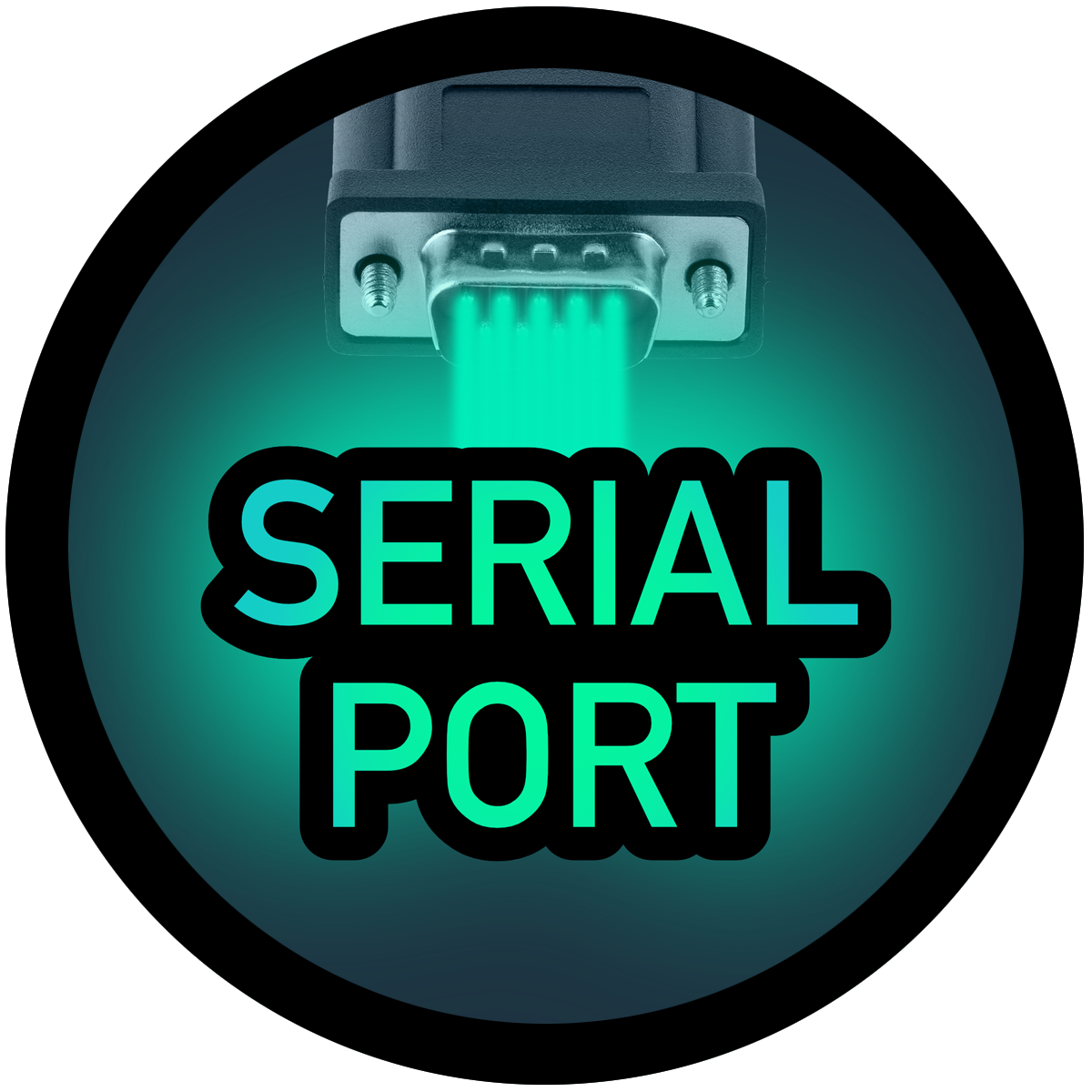 The Serial Port